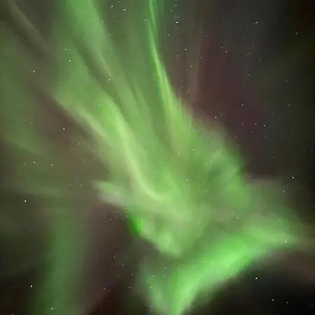 Traelvik Huset A * Tofta